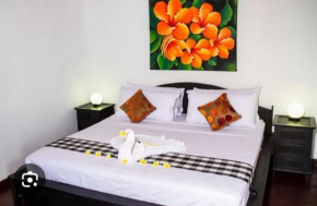 Holiday Villa